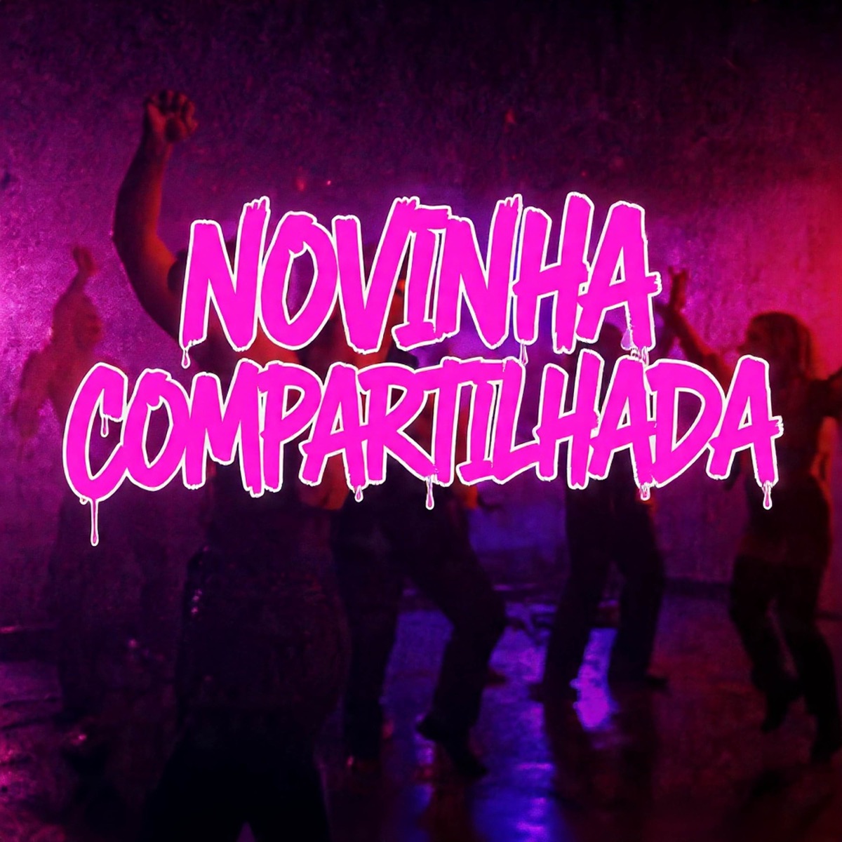 Novinha Compartilhada - Single by Complexo do Alemão, Dj Galinha, Mc Karyne Da Provi & Mc Alan Da Mg album cover