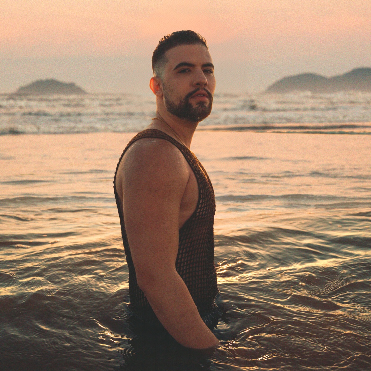 Parei Na Sua - Single by Vitor Ferraz album cover