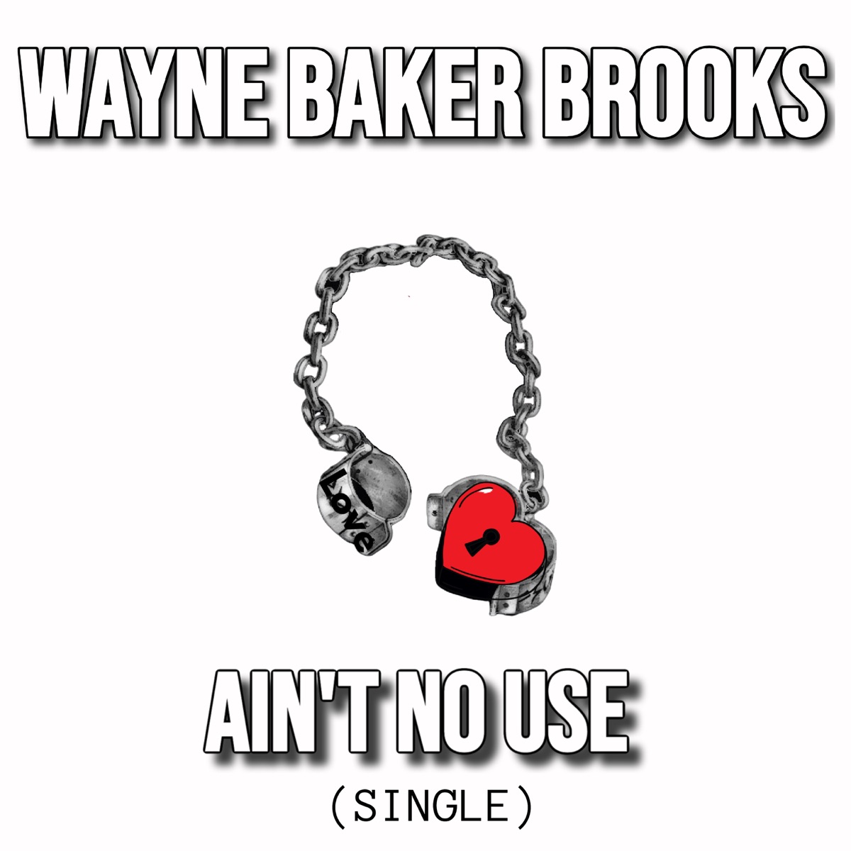 Ain't No Use - Single by Wayne Baker Brooks album cover