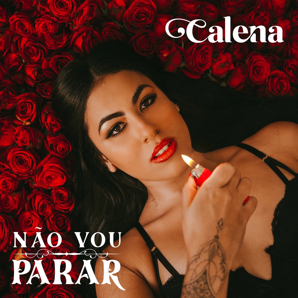 Não Vou Parar - Single by Calena album cover