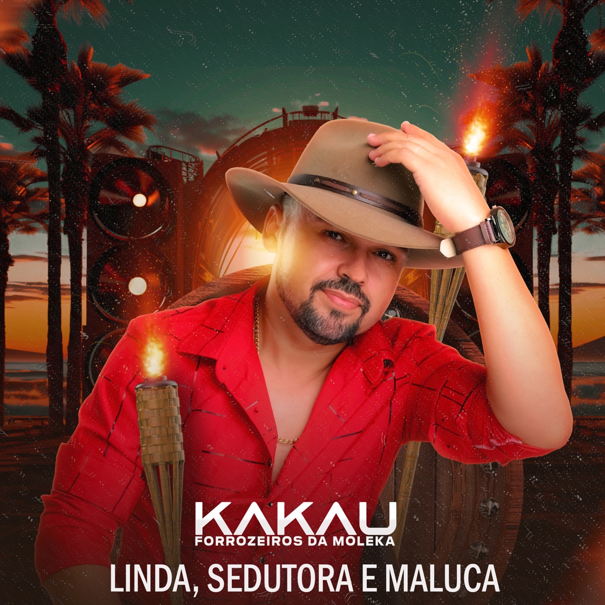 Linda, Sedutora e Maluca - Single by Kakau Forrozeiros da Moleka album cover