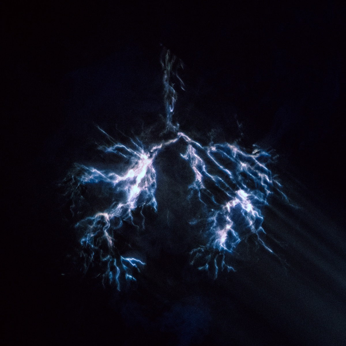 When Wind Meets Fire by Elevation Worship album cover artwork