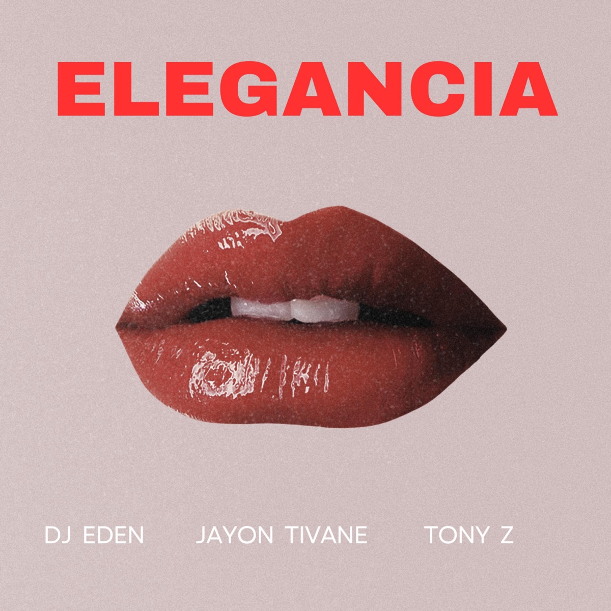 Elegancia (feat. Jayon Tivane & Tony Z) - Single by DJ EDEN album cover