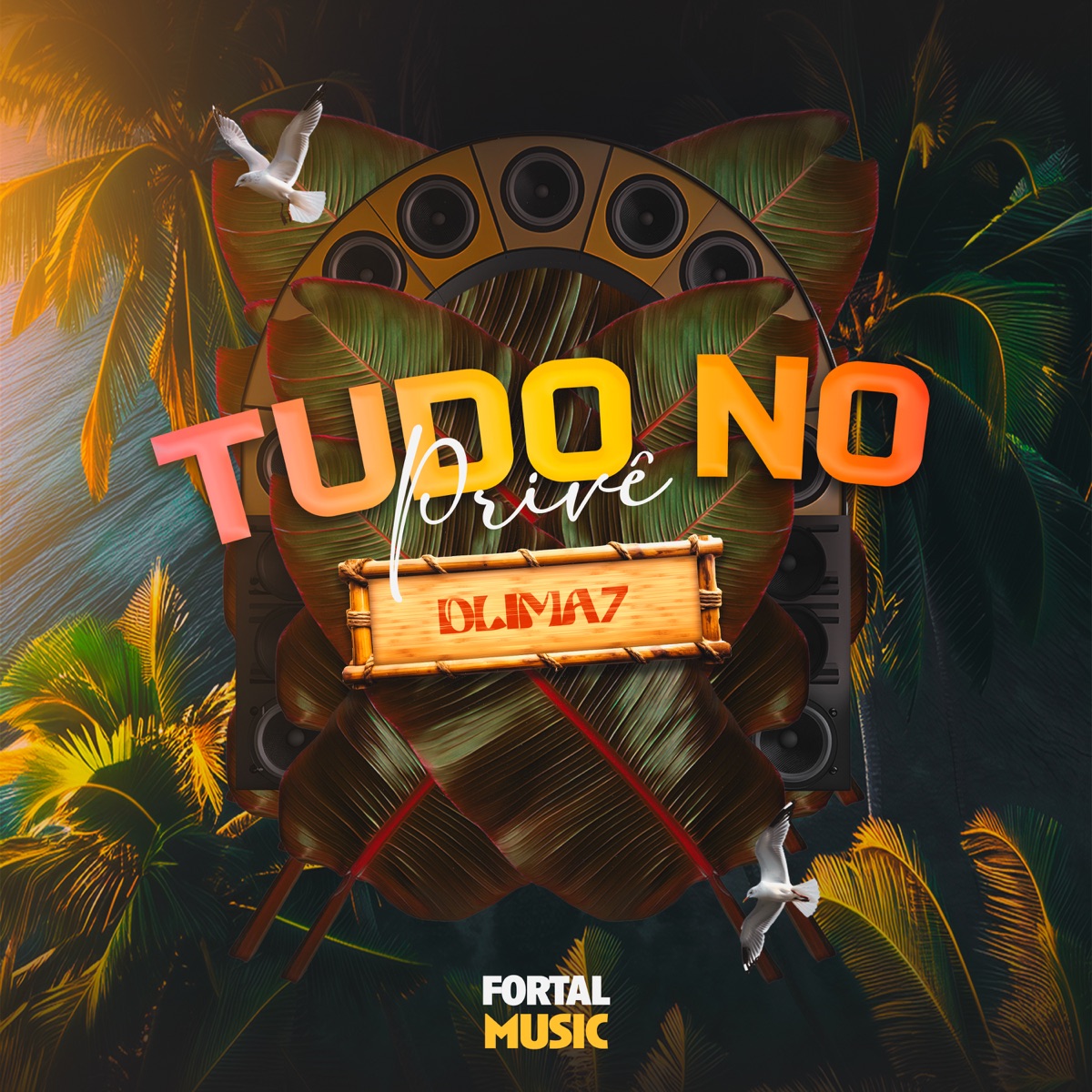 Tudo No Privê (feat. MC Davi) [Remix] - Single by DLIMA7 album cover