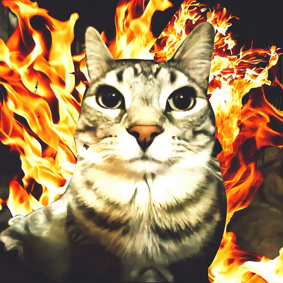 Flame - Single by FXCETRIP & Fightclxb album cover