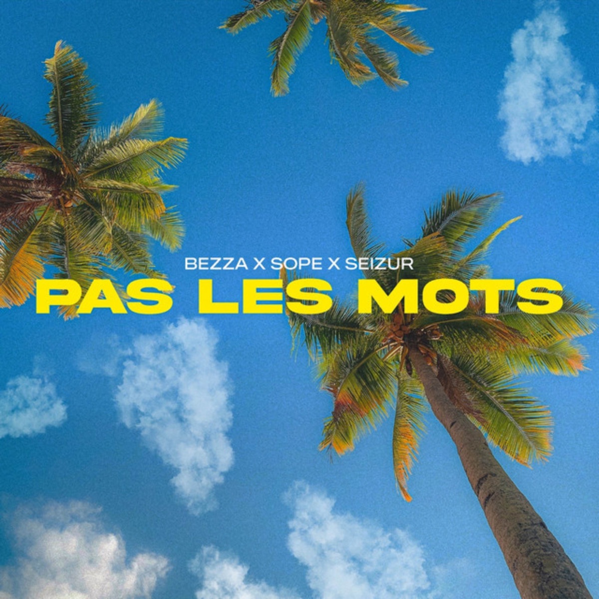 Pas les mots (feat. RecordMusic) - Single by Bezza, Sope & Seizur album cover