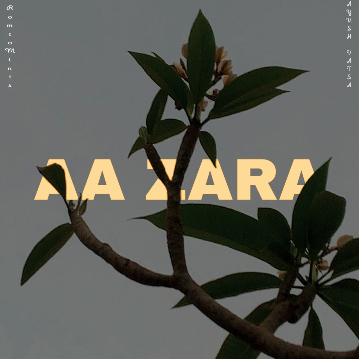 Aa zara - Single by RomeoMints album cover