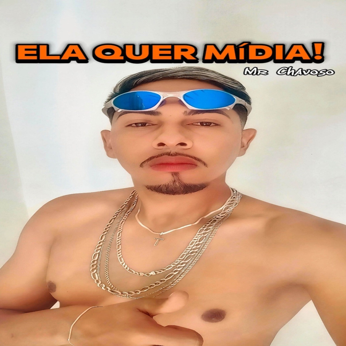 Ela quer Mídia - Single by Mr Chavoso_038 album cover