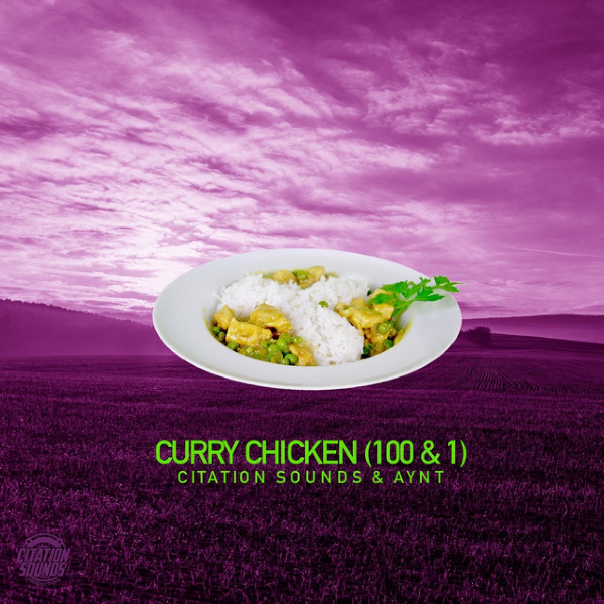 Curry Chicken / One Hundred and One - Single by Citation Sounds & AYNT album cover