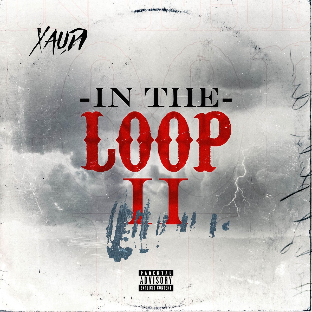 In the Loop 2 by Xaudi album cover
