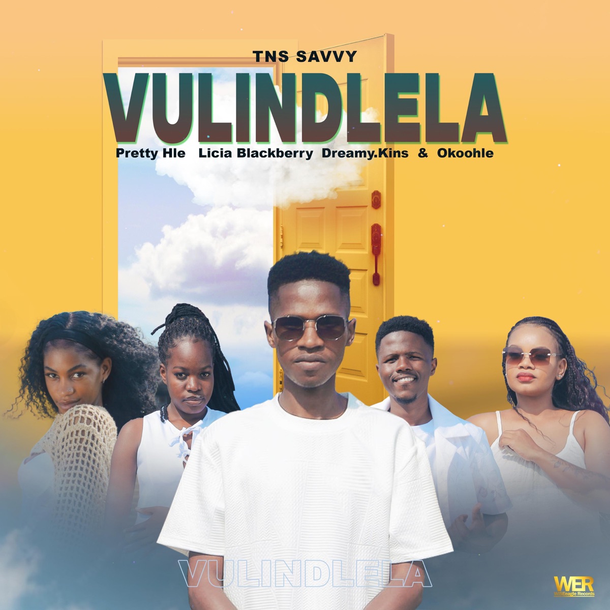 Vulindlela (feat. Pretty Hle, Dreamy.Kins, Licia Blackberry & Okoohle) - Single by TNS Savvy album cover
