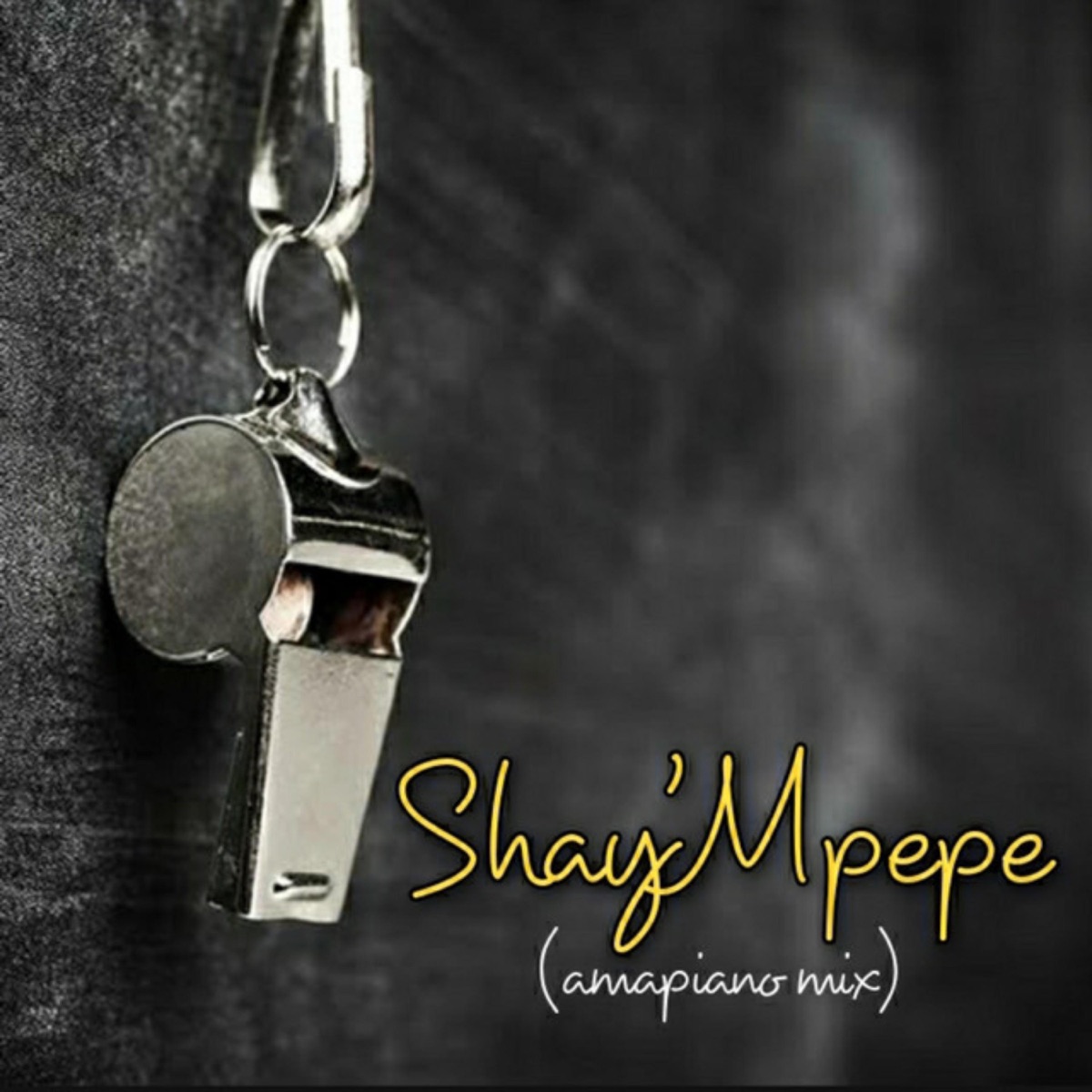 Shay'mpempe (feat. Dj Mavuthela, Ribby De Deejay & Rhino) - Single by Muzzy D Pilot album cover