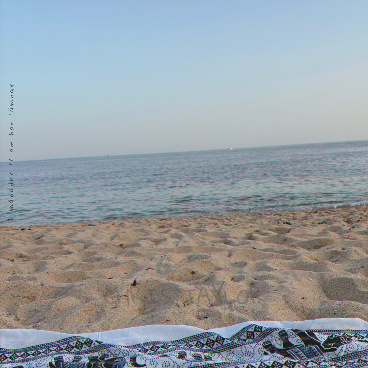 2 månader / om hon lämnar - Single by Chris Taylor album cover