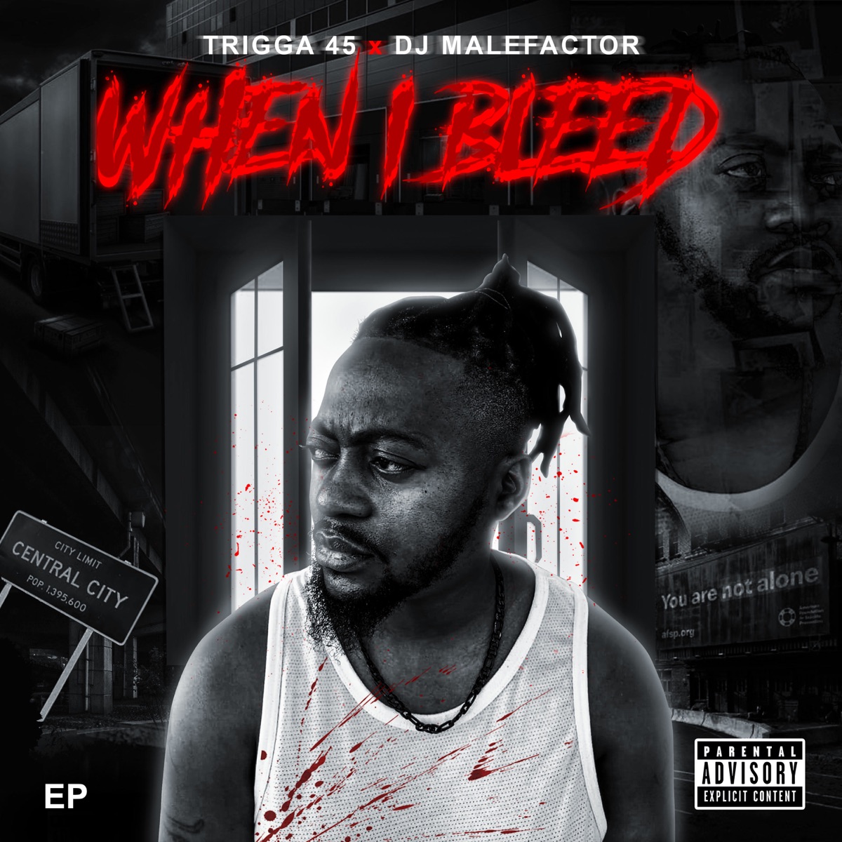 When I Bleed by DJ Malefactor & Trigga 45 album cover