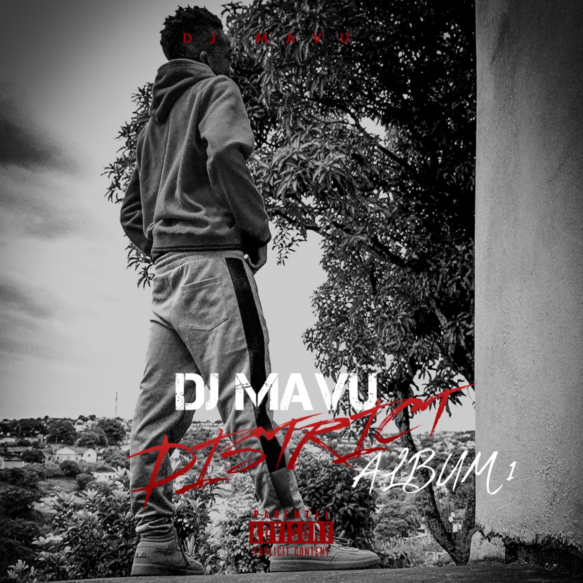 District 1 by Dj Mavu album cover