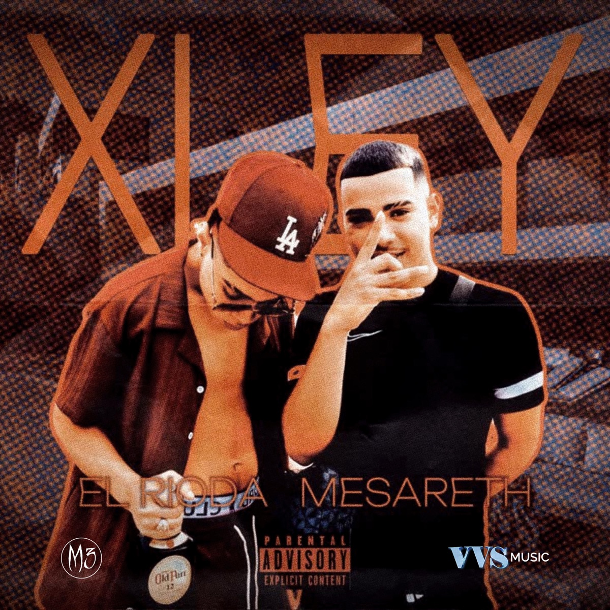 X Ley (feat. El Rioda, La Puta Connect & VVS Music) - Single by Mesarethh album cover