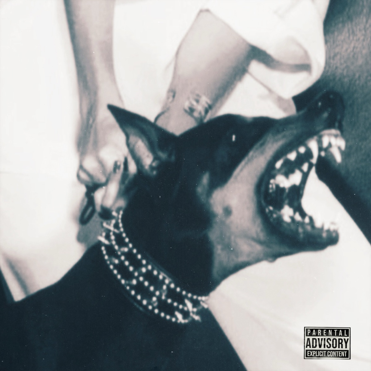 Barking up the Wrong Tree (feat. Sy Mosquiat) - Single by Amir Ali album cover