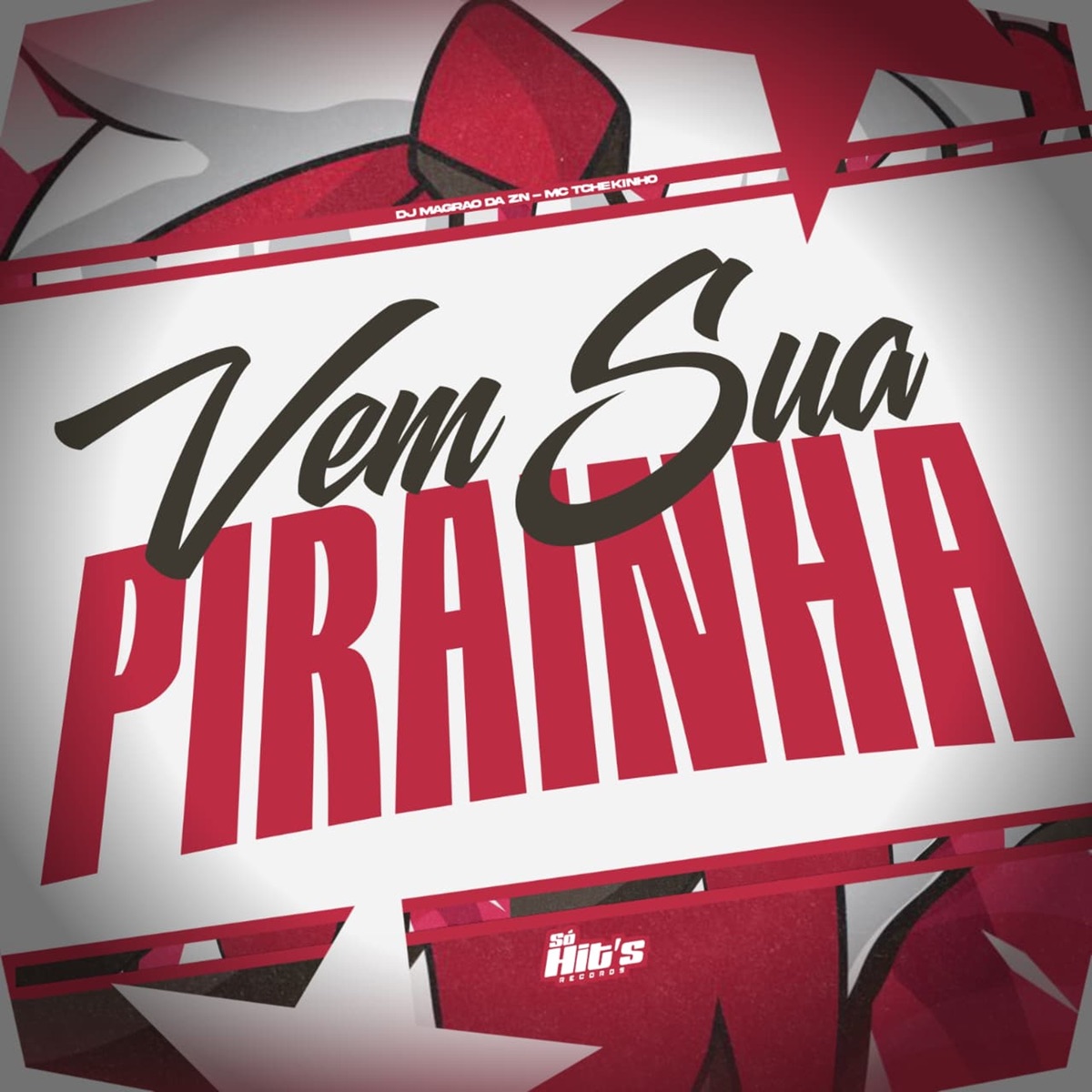 Vem Sua Pirainha - Single by DJ MAGRAO DA ZN & MC TCHEKINHO album cover