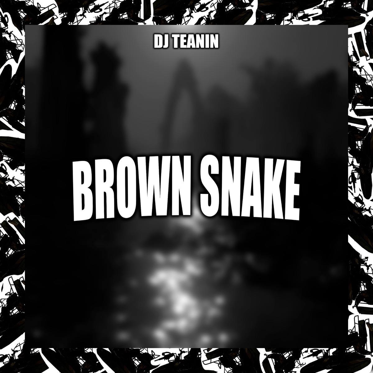 Brown Snake - EP by DJ TEANIN album cover