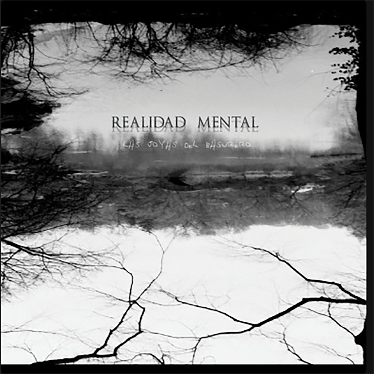 Las Joyas del Basurero by Realidad Mental album cover