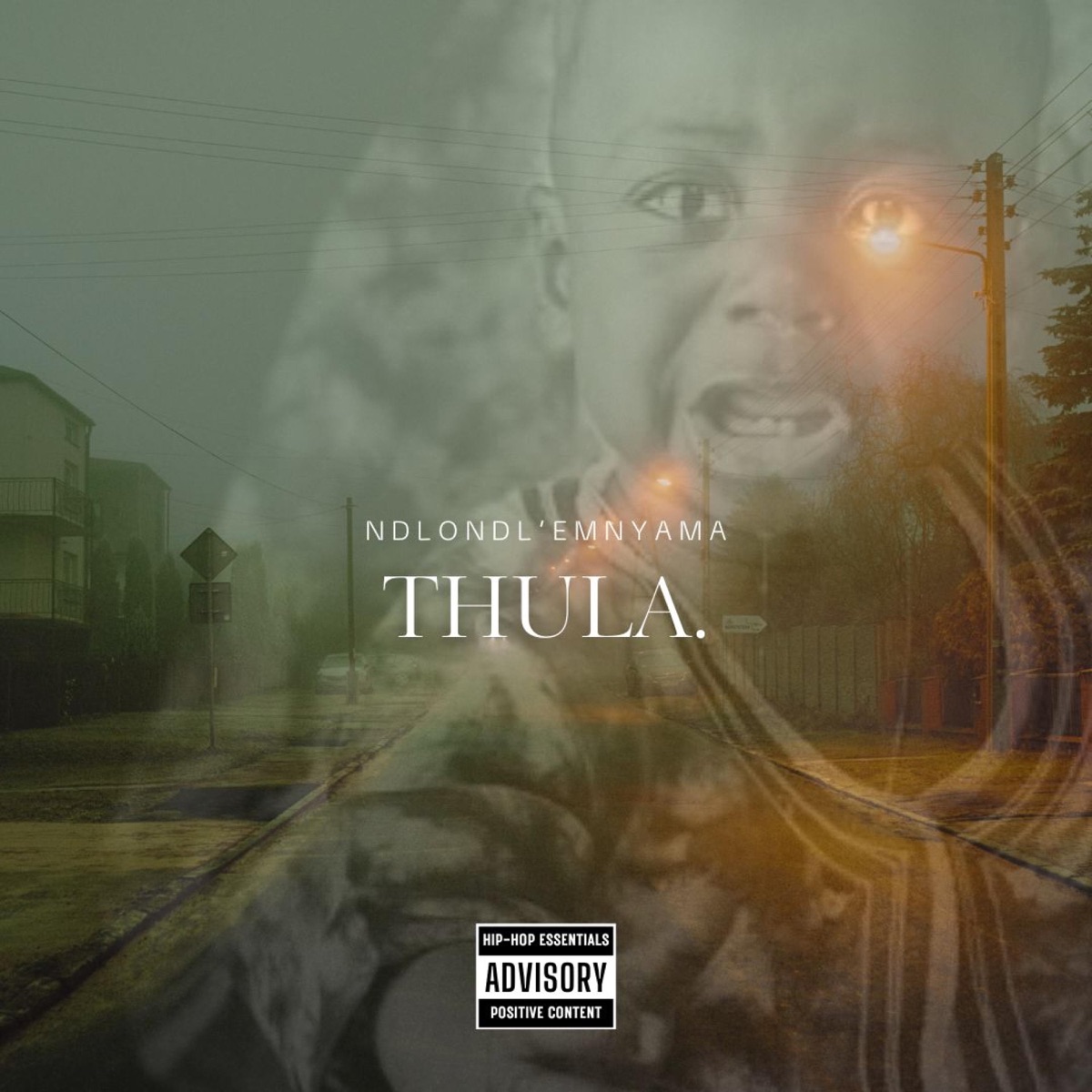THULA. - Single by Ndlondl'emnyama SA album cover