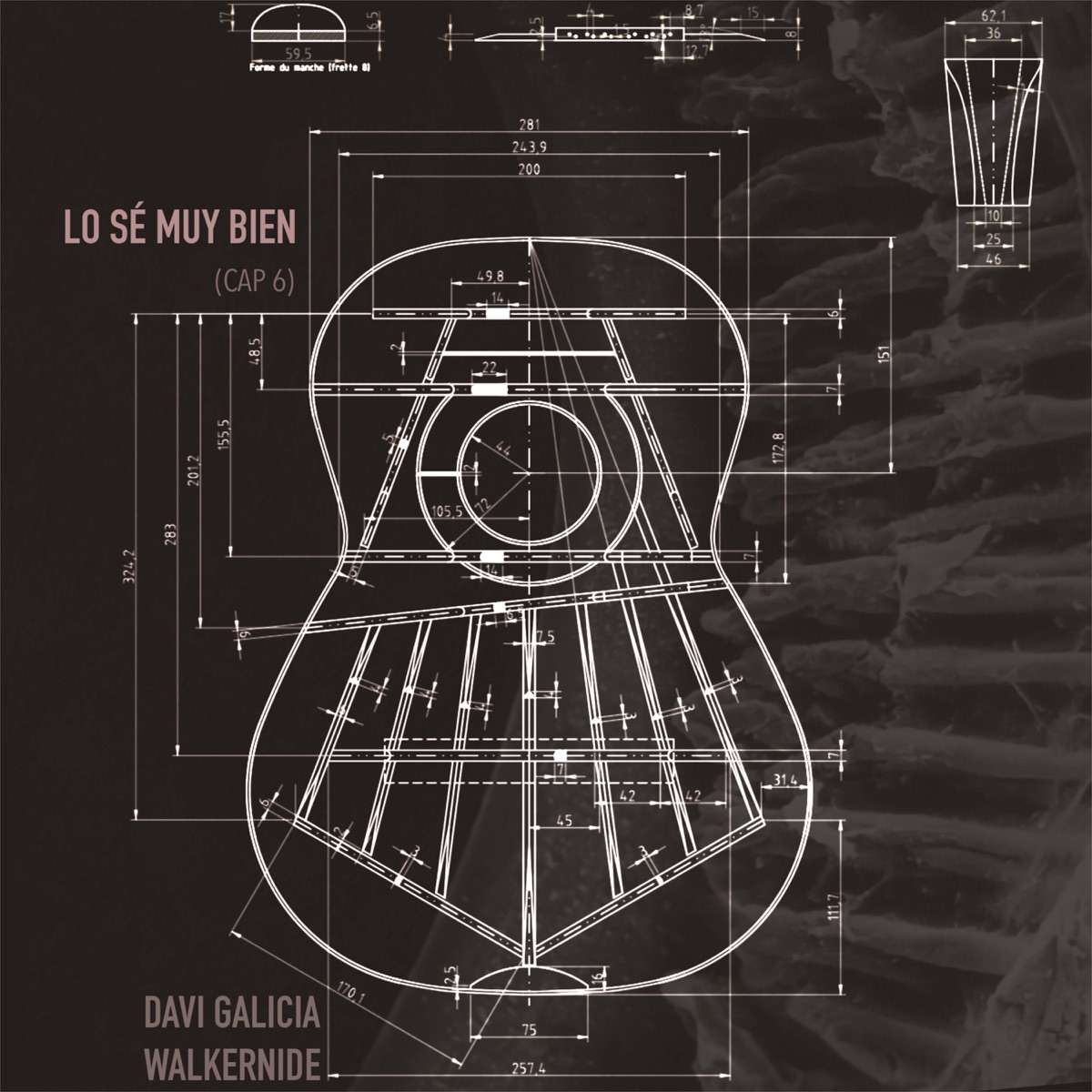 Lo Sé Muy Bien - Single by Davi Galicia & WalkerNide album cover