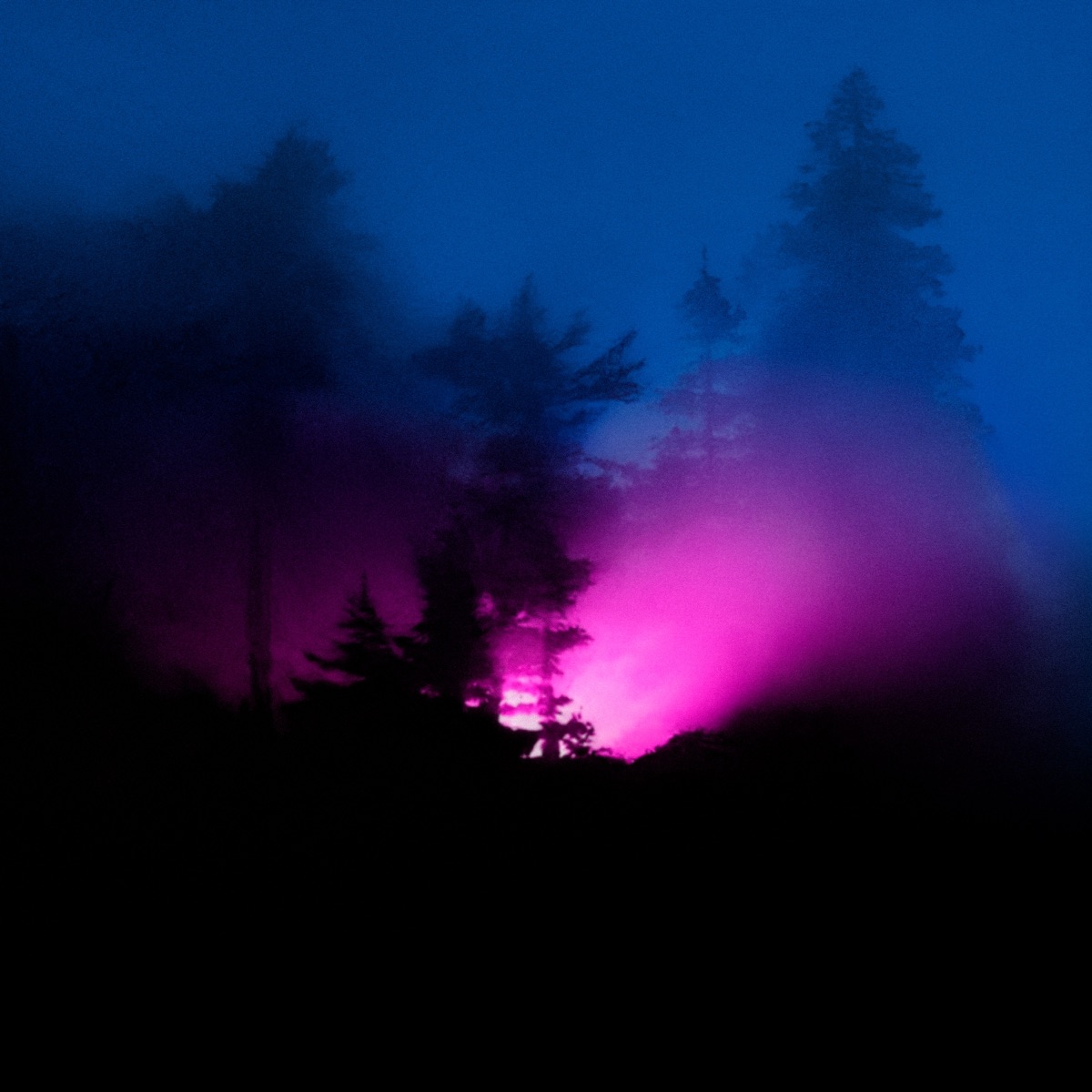 late night walk - Single by Ønedream album cover