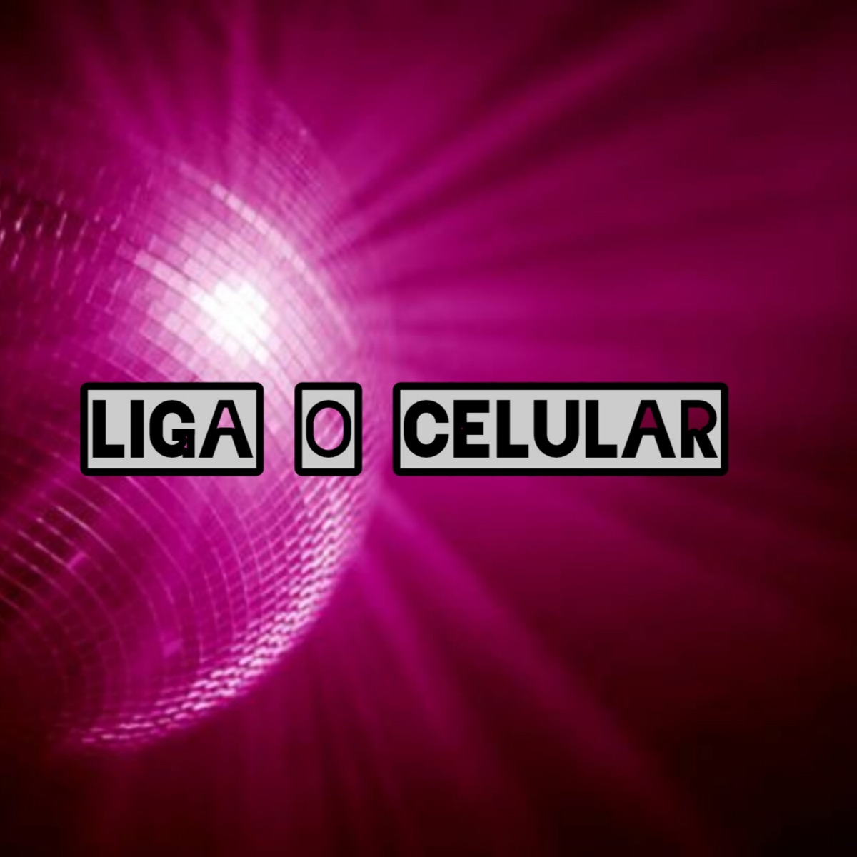 Liga o Celular (feat. R.A.V) - Single by 13 Cassinos album cover