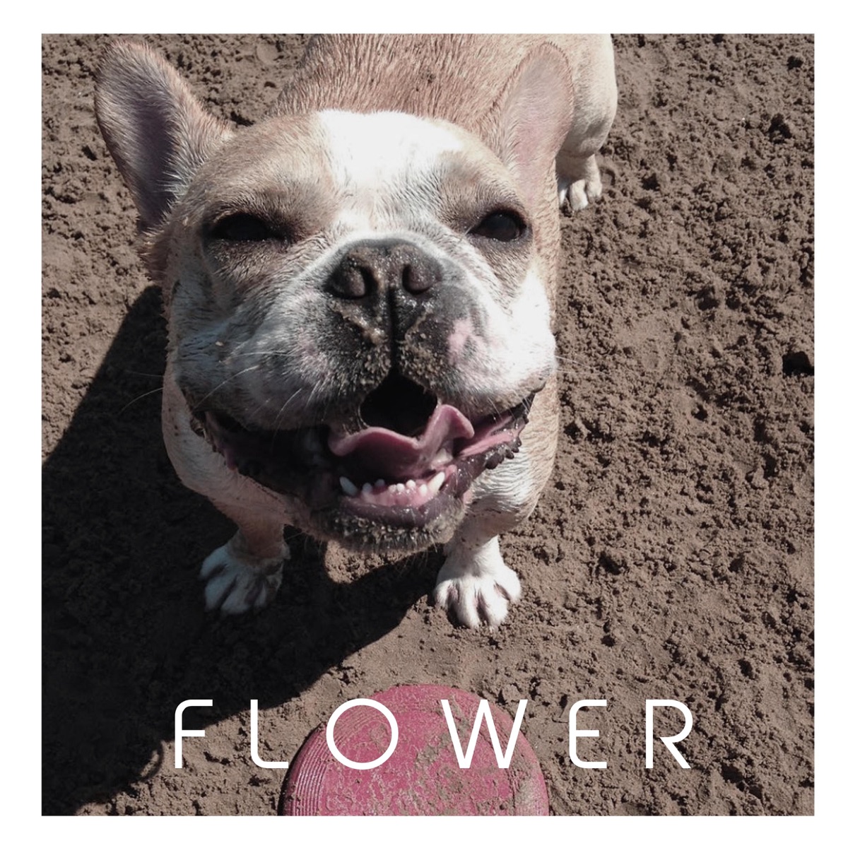 Flower (feat. Nini) - Single by Nomiri album cover