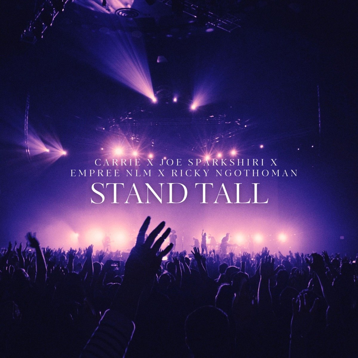 STAND TALL (feat. Carrie, Ricky Ngothoman & Empree nlm) - Single by Joe Sparkshiri album cover
