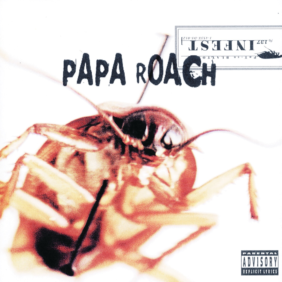 Infest by Papa Roach album cover