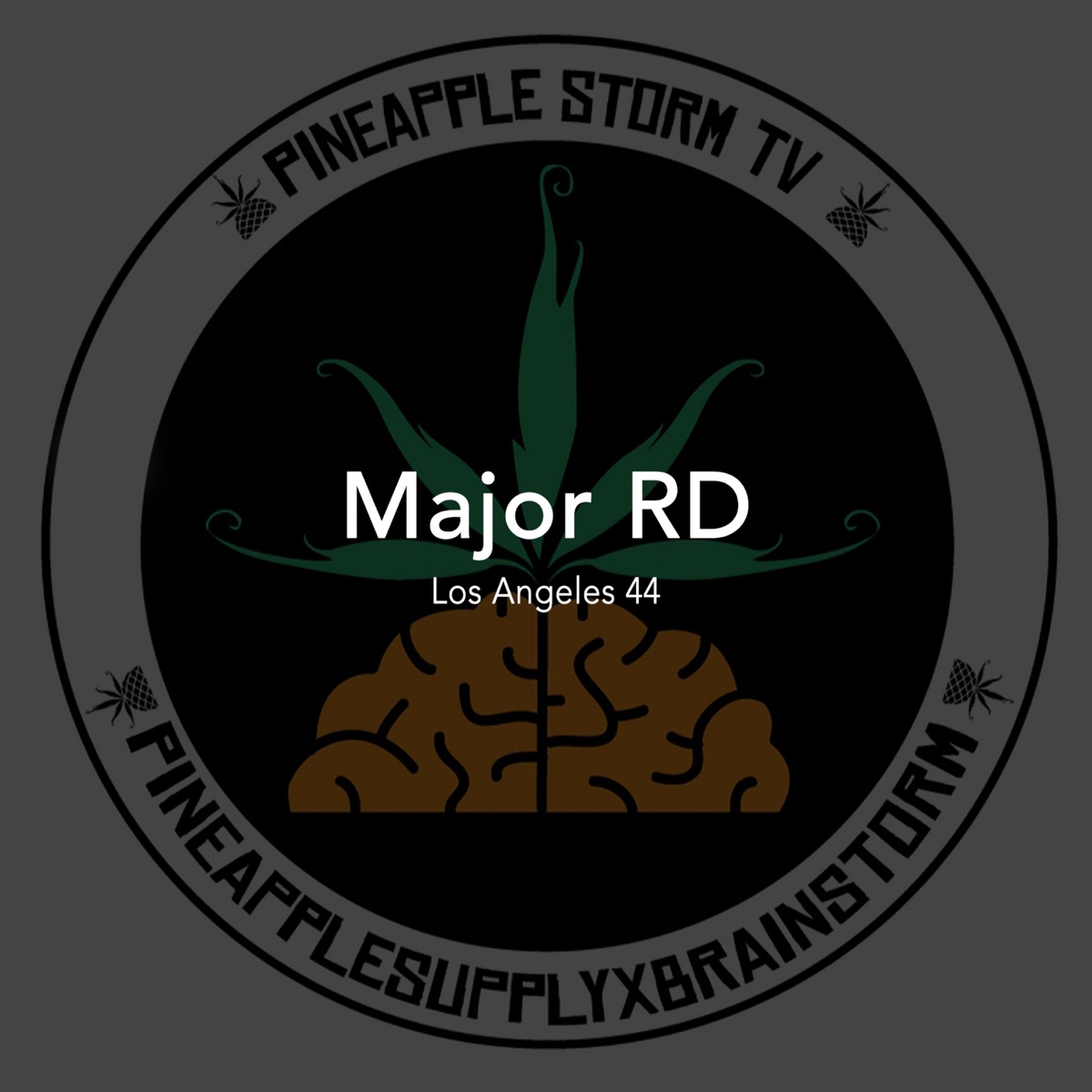 Los Angeles 44 - Single by Major RD album cover