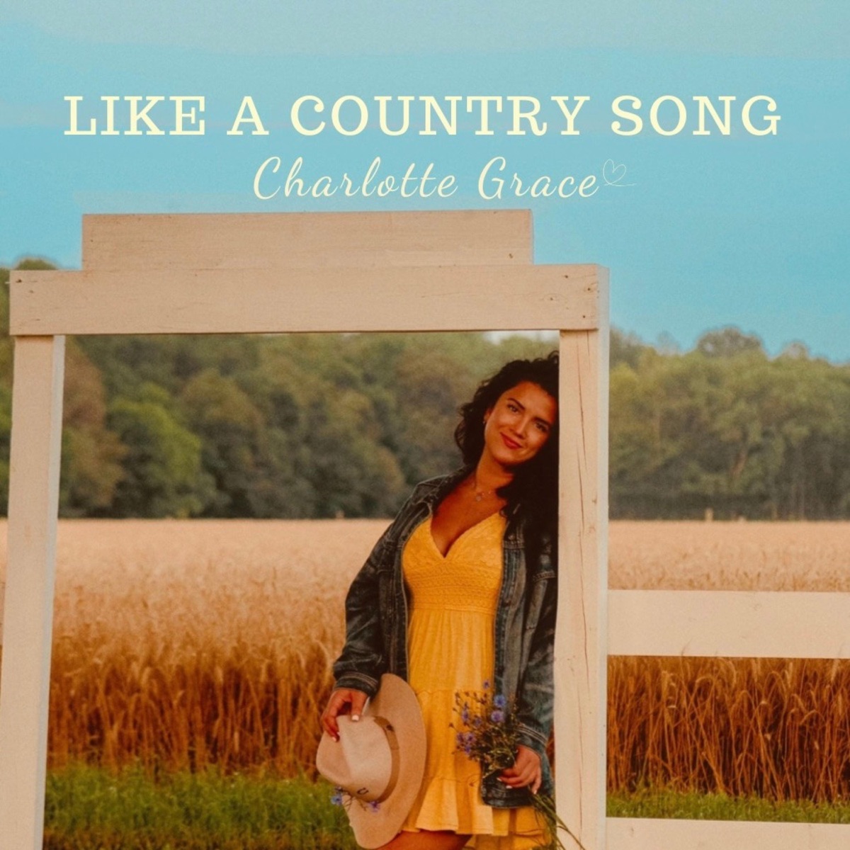 Like A Country Song - Single by Charlotte Grace album cover