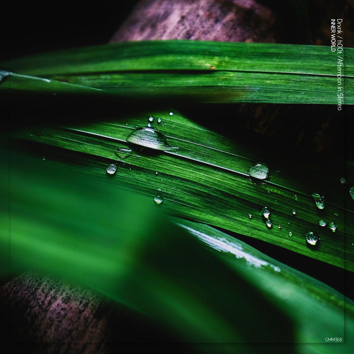 Inner World - Single by Drxnk, h00t & Afternoon In Stereo album cover