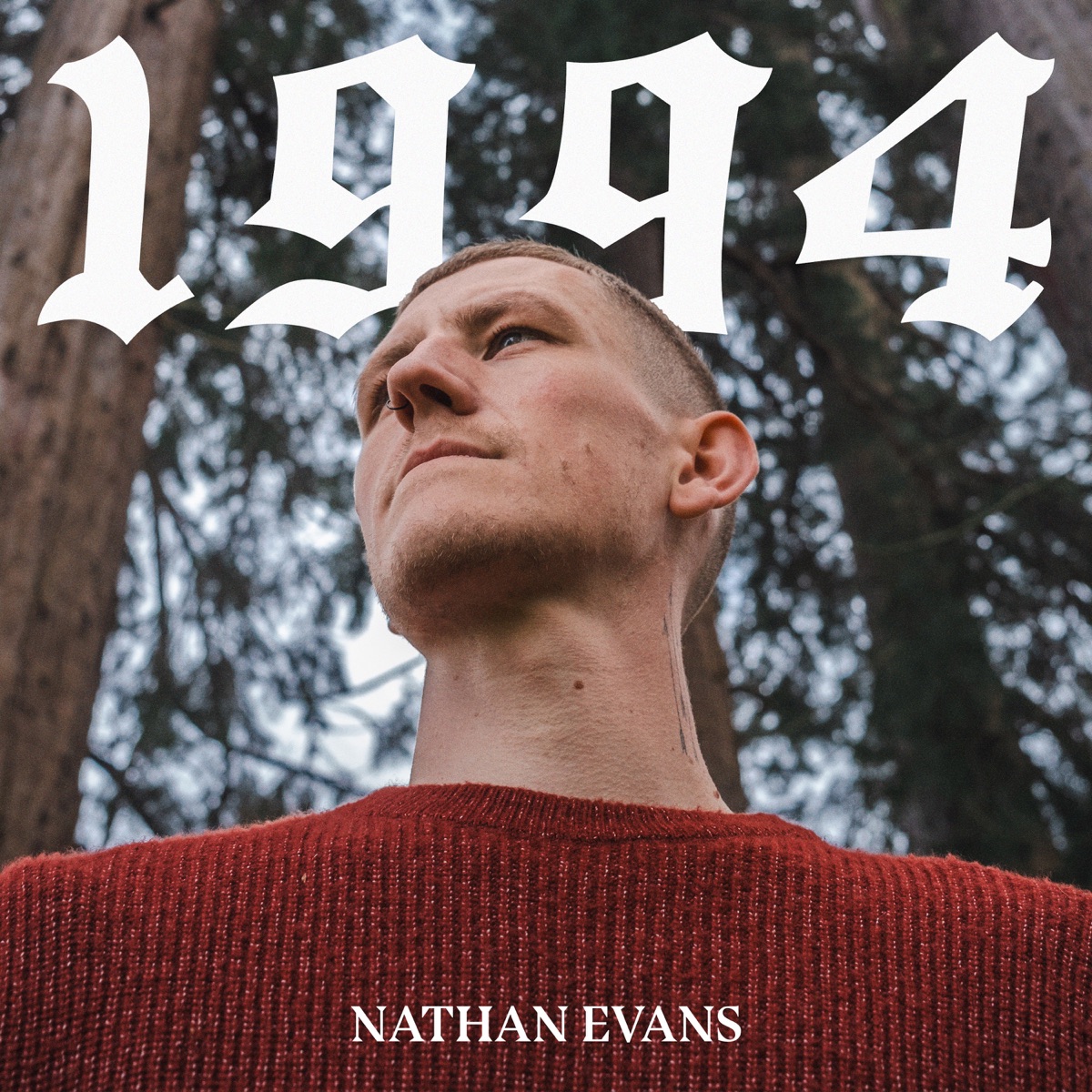 1994 by Nathan Evans album cover