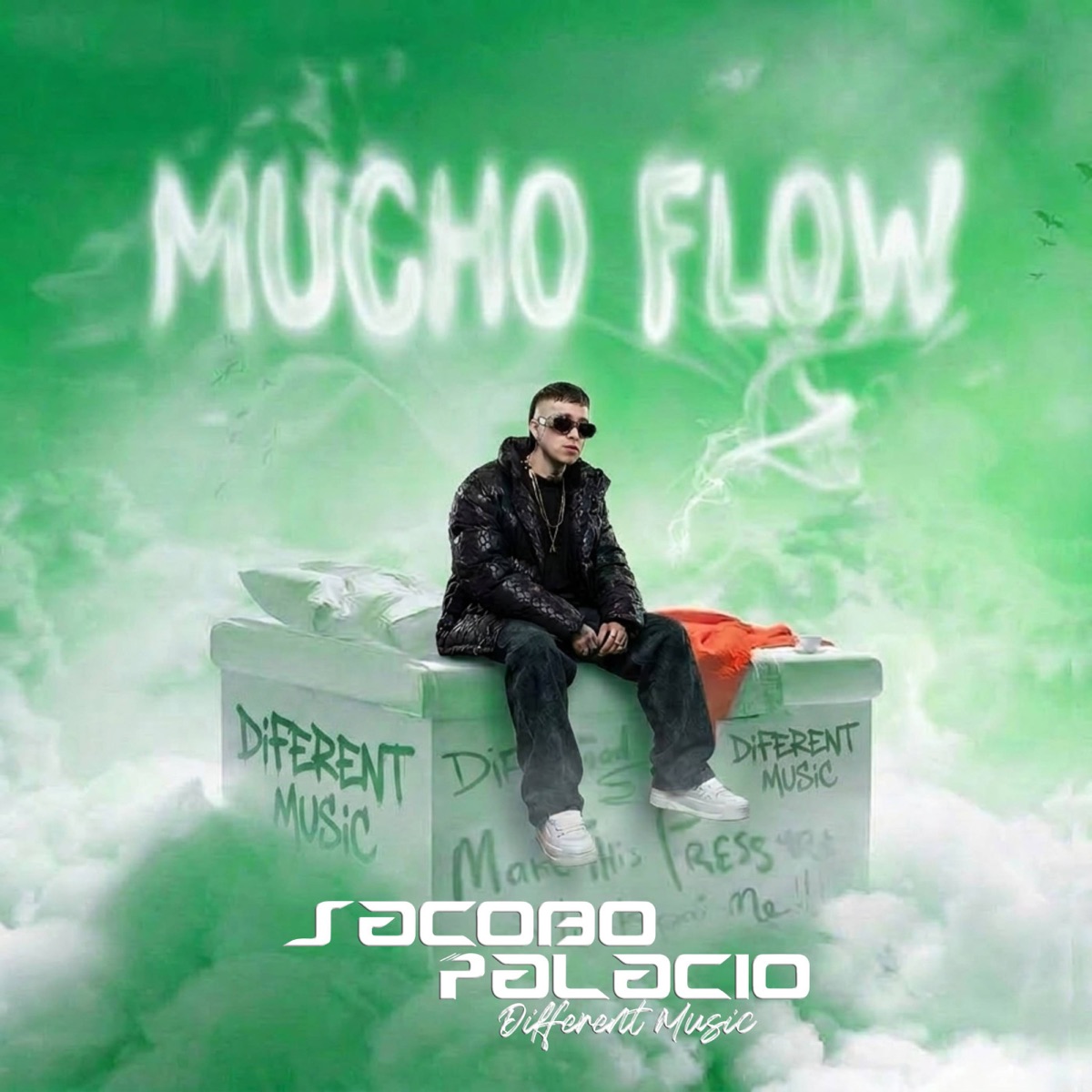 Mucho Flow - Single by Jacobo Palacio album cover