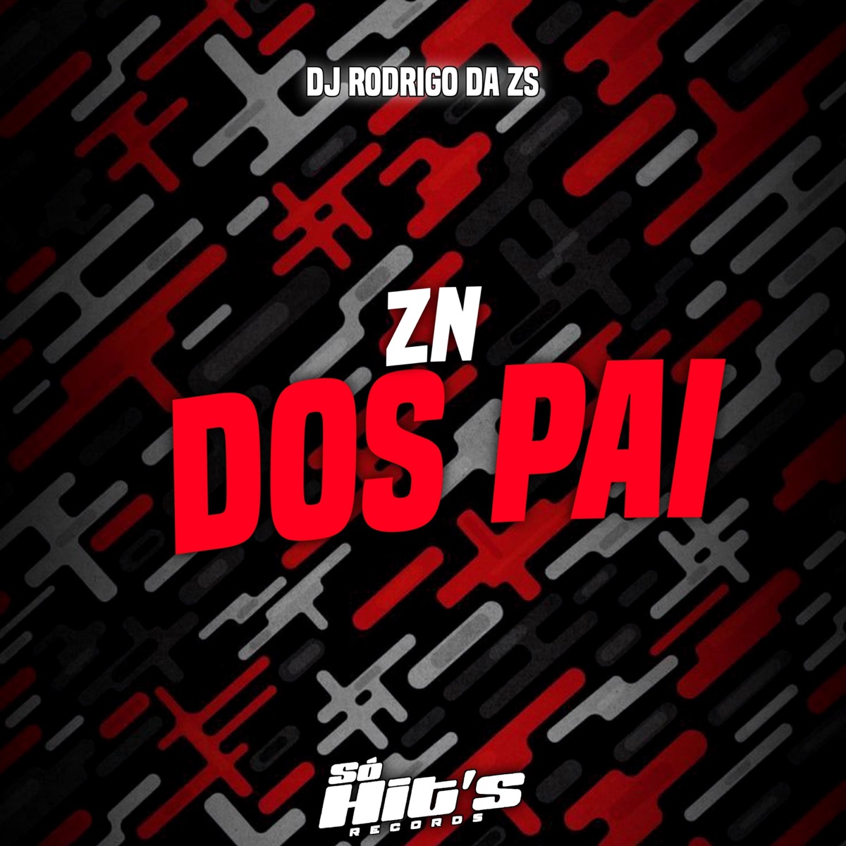 Zn Dos Pai - Single by DJ RODRIGO DA ZS album cover