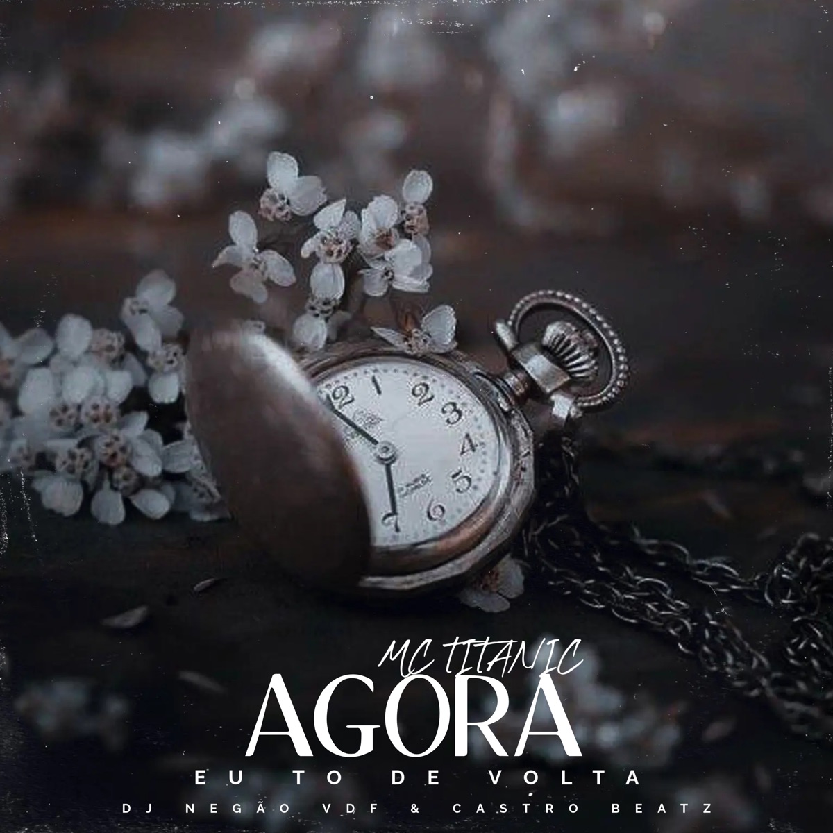 Agora Eu To de Volta - Single by MC Titanic, Castro Beatz & DJ Negão VDF album cover