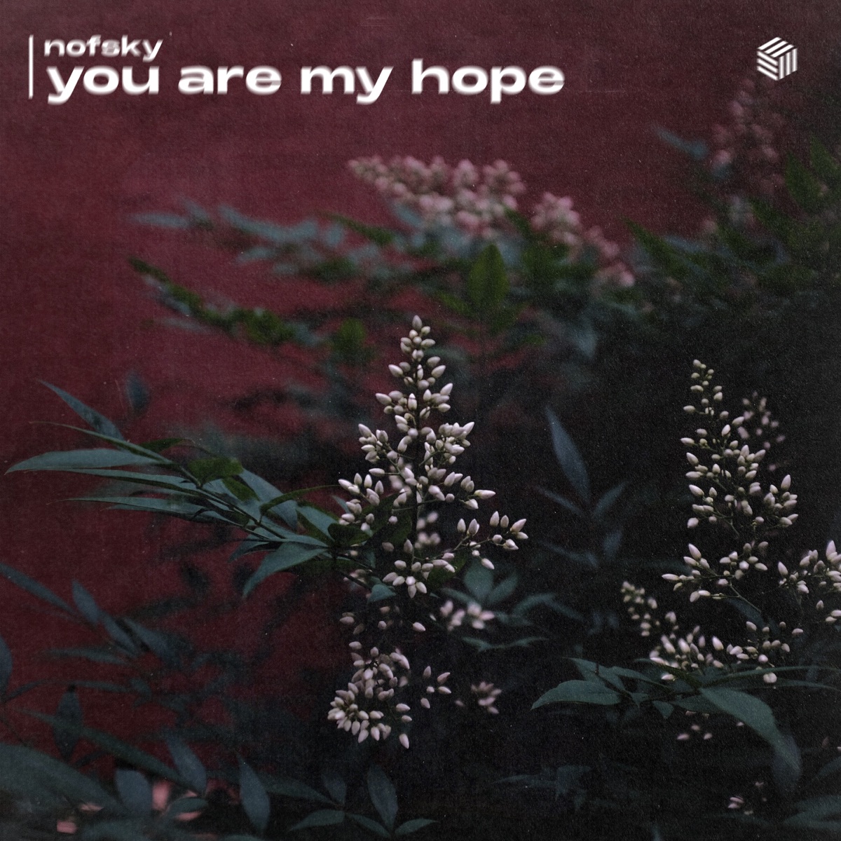 You Are My Hope - Single by Nofsky album cover