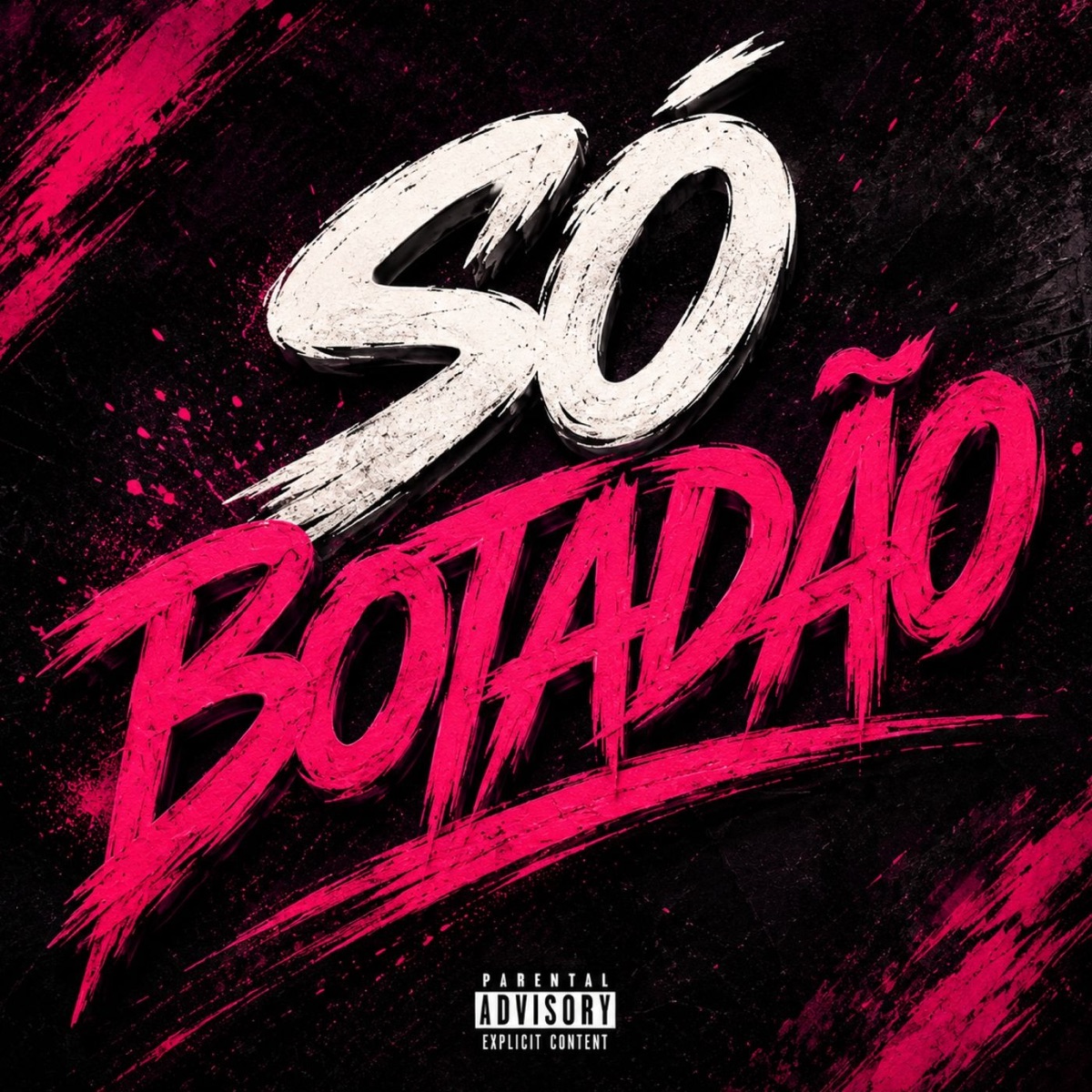 SÓ BOTADÃO - Single by Mc Roldão, MC Levin & DJ Wg Mks album cover