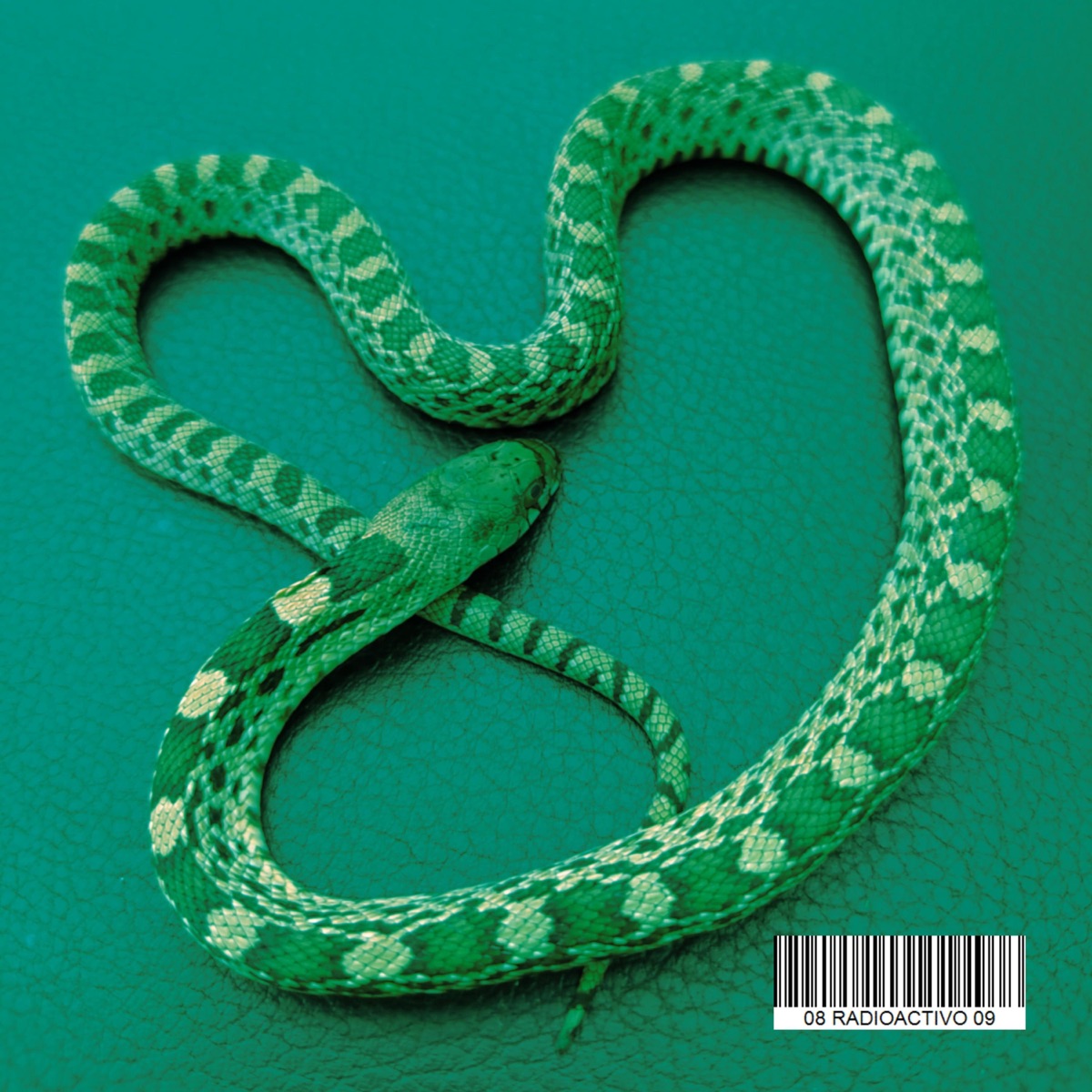 Radioactivo - Single by The Magic album cover