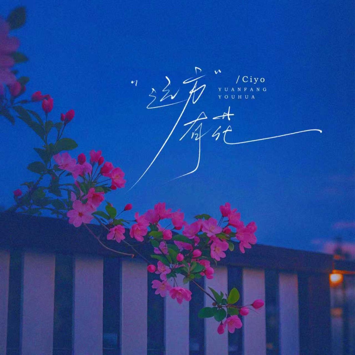 远方有花 - Single by Ciyo album cover