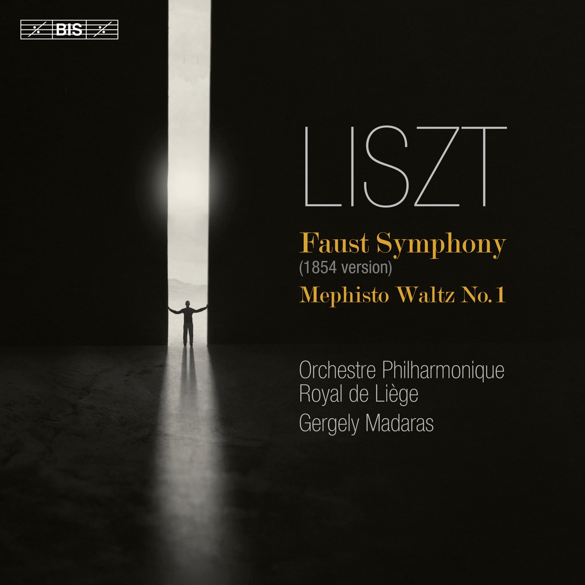 Liszt: Faust Symphony by Orchestre Philharmonique Royal de Liège & Gergely Madaras album cover