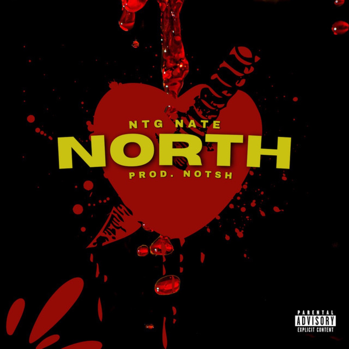 North - Single by Naeto album cover