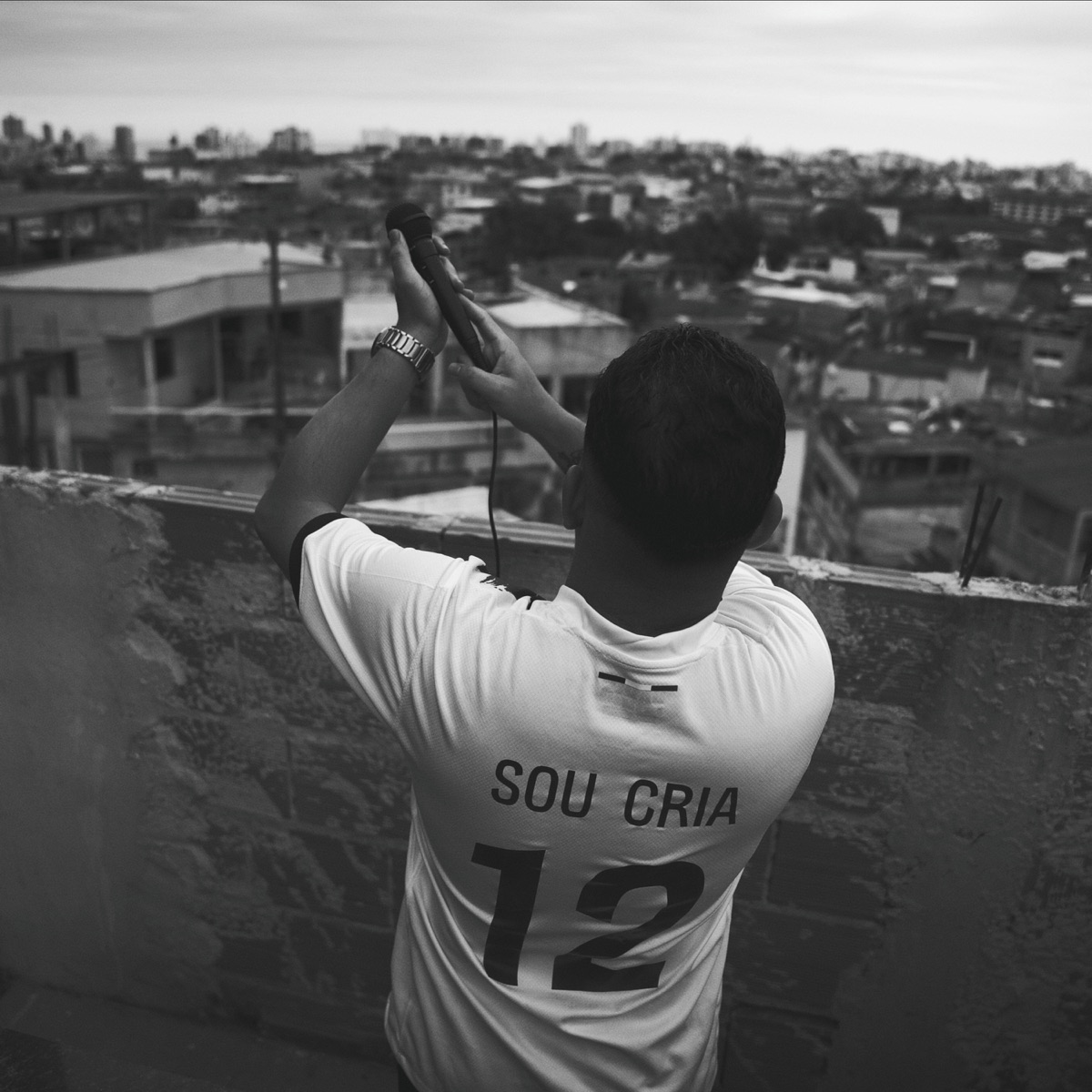 SOU CRIA by Vinicius Mix album cover