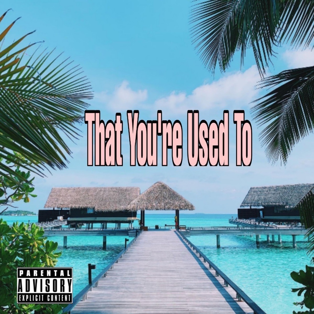 That Your Used To - Single by Nef Dallas album cover