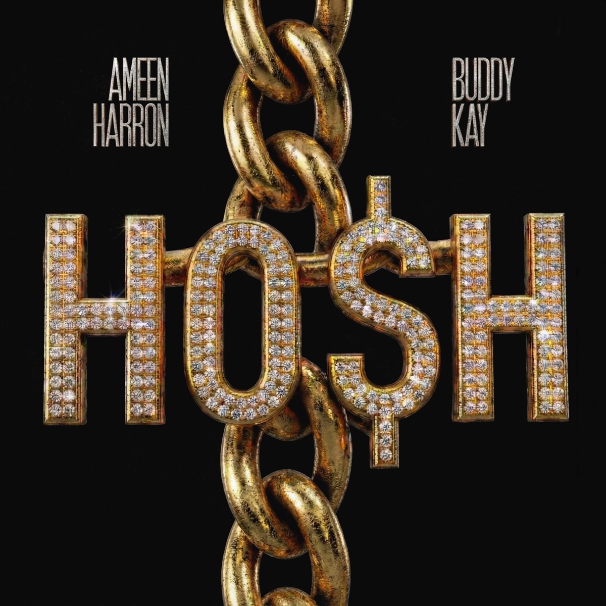 HO$H - Single by Ameen Harron & Buddy Kay album cover