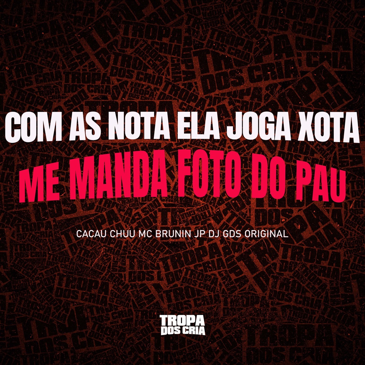 Com as Nota Ela Joga a Xota Me Manda Foto do Pau - Single by DJ GDS ORIGINAL, Mc Brunin JP & Cacau Chuu album cover
