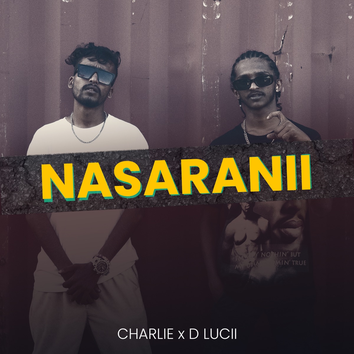 NASARANII - Single by charlie? & D LUCII album cover
