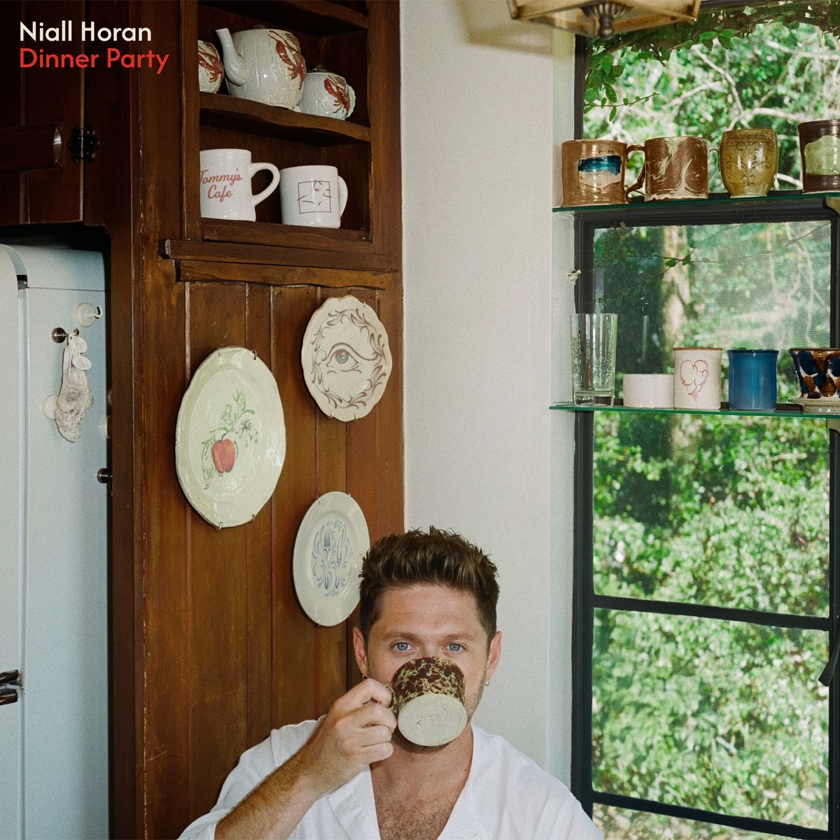 Dinner Party by Niall Horan album cover
